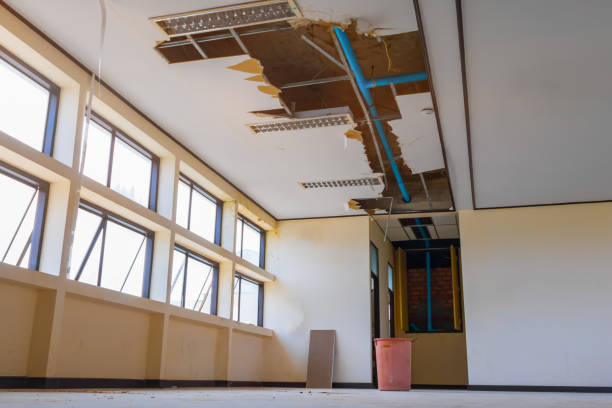 Best Water damage repair service  in Las Flores, CA