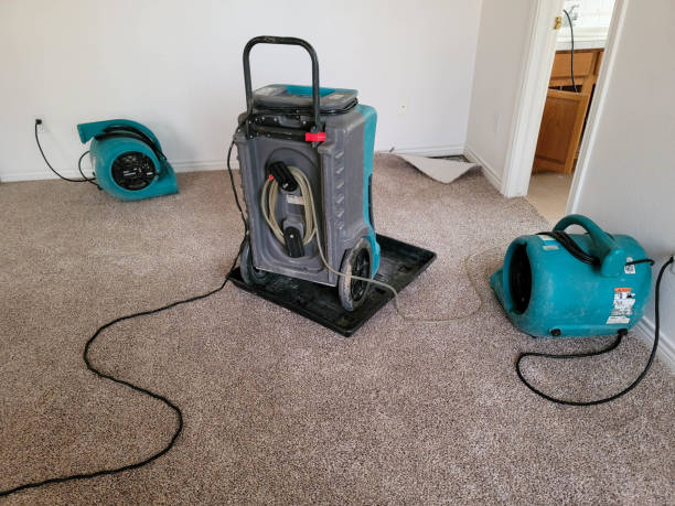 Best Residential water damage restoration  in Las Flores, CA
