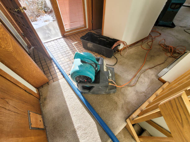 Best Fire Damage Restoration  in Las Flores, CA