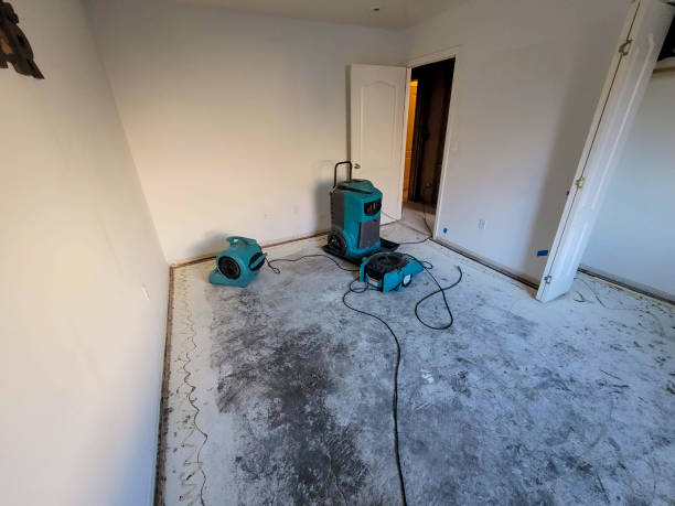 Best Water damage restoration near me  in Las Flores, CA
