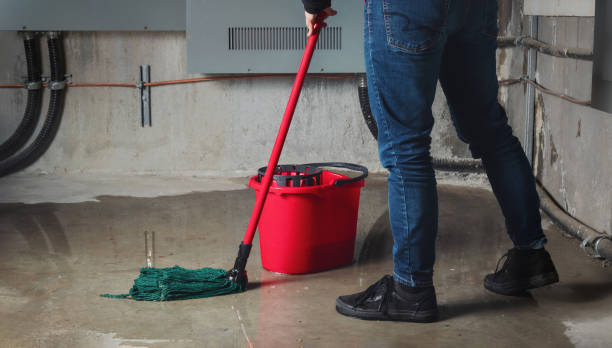 Best 24-hour water damage restoration  in Las Flores, CA
