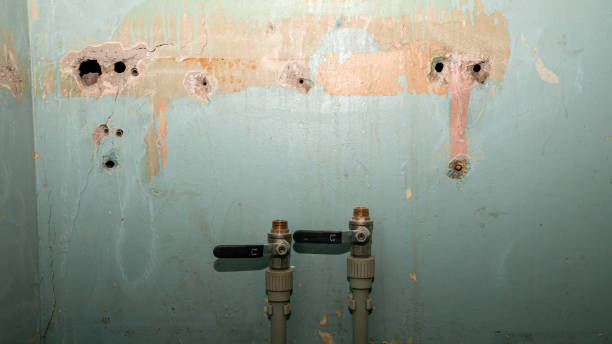 Water damage restoration mold remediation in CA