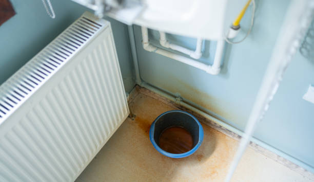 Best 24/7 water damage repair  in Las Flores, CA