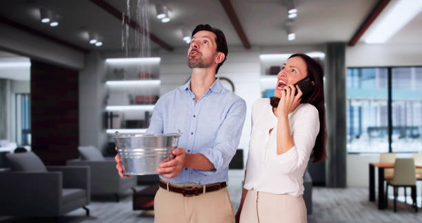 Best Basement water damage restoration  in Las Flores, CA